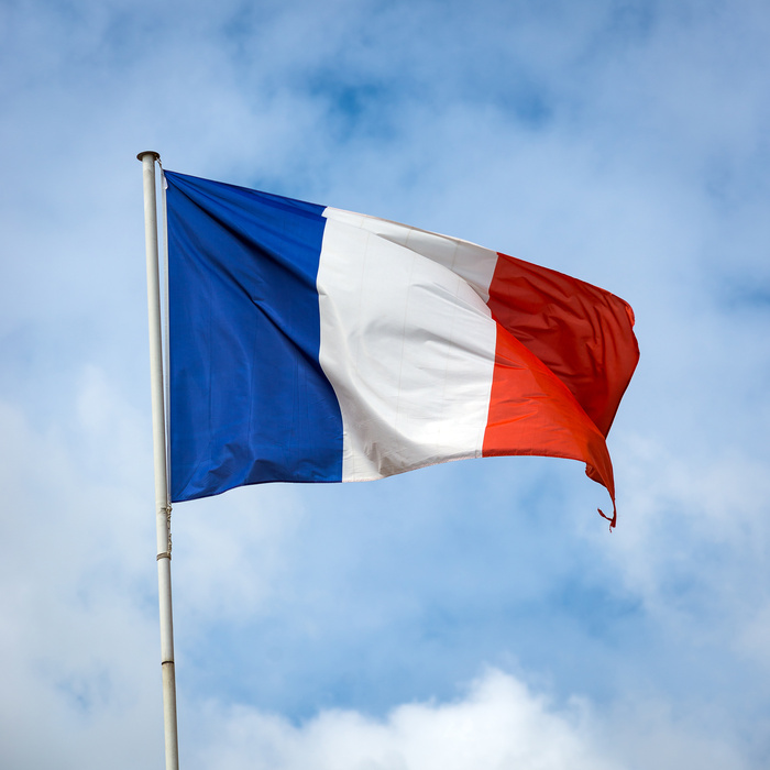French Flag 